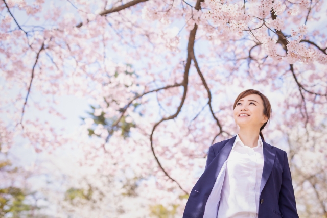 ドラゴン桜　弁護士